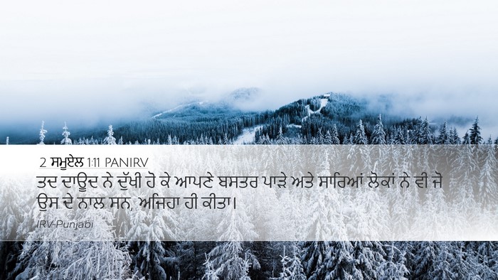 2 ਸਮੂਏਲ 1:11 PANIRV Bible Verse Image