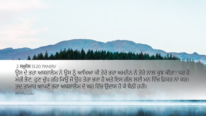2 ਸਮੂਏਲ 13:20 PANIRV Bible Verse Image