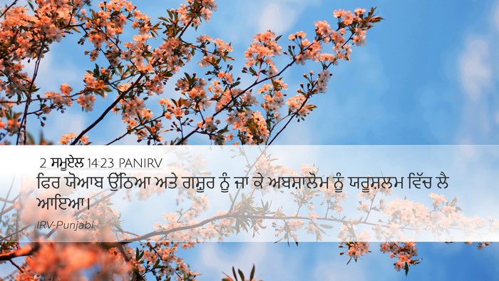 2 ਸਮੂਏਲ 14:23 PANIRV Bible Verse Image