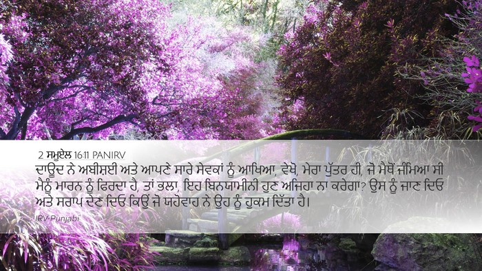 2 ਸਮੂਏਲ 16:11 PANIRV Bible Verse Image