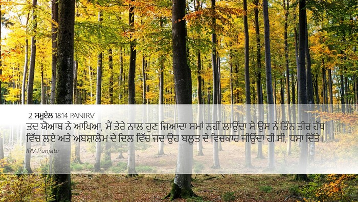 2 ਸਮੂਏਲ 18:14 PANIRV Bible Verse Image