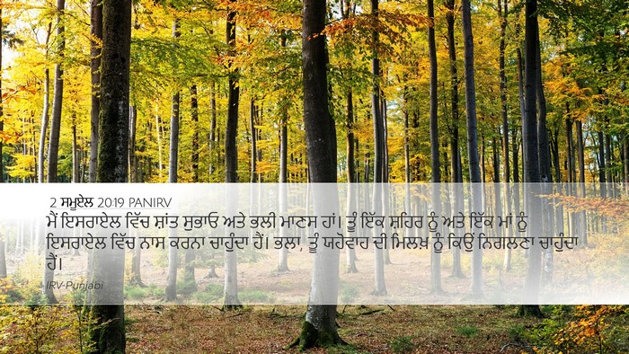 2 ਸਮੂਏਲ 20:19 PANIRV Bible Verse Image