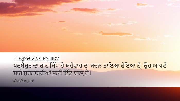 2 ਸਮੂਏਲ 22:31 PANIRV Bible Verse Image