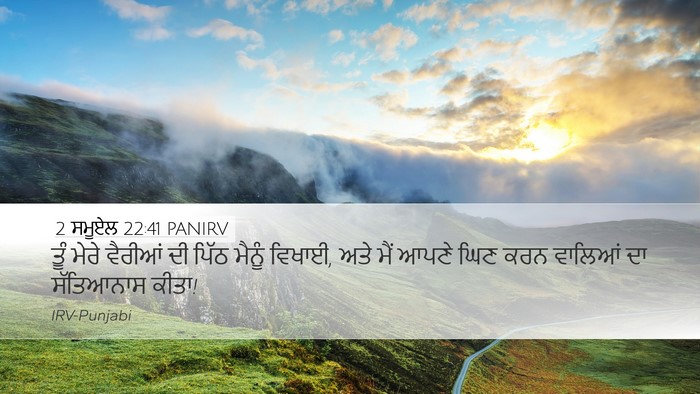 2 ਸਮੂਏਲ 22:41 PANIRV Desktop Wallpaper - ਤੂੰ ਮੇਰੇ ਵੈਰੀਆਂ ਦੀ - Desktop Bible Verse Wallpaper