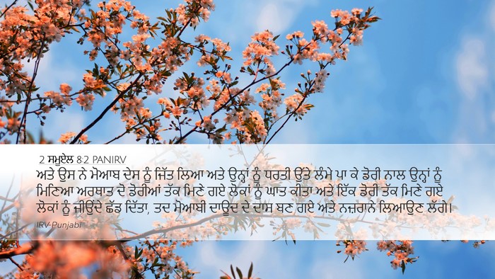 2 ਸਮੂਏਲ 8:2 PANIRV Bible Verse Image