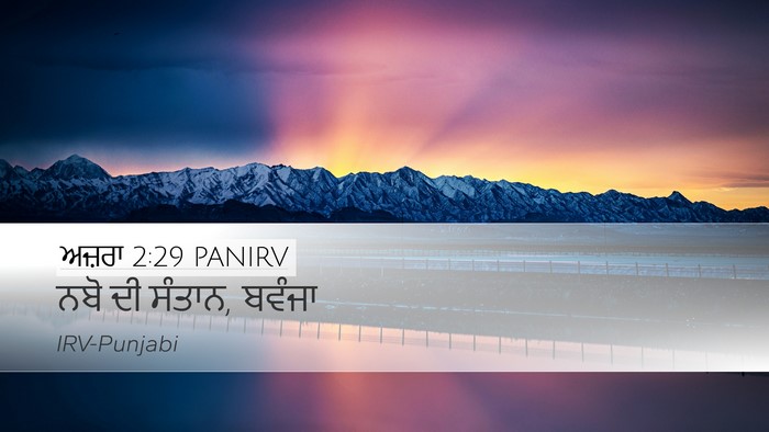 ਅਜ਼ਰਾ 2:29 PANIRV Desktop Wallpaper - ਨਬੋ ਦੀ ਸੰਤਾਨ, - Desktop Bible Verse Wallpaper