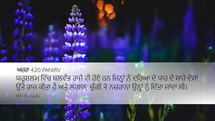 ਅਜ਼ਰਾ 4:20 PANIRV Bible Verse Image