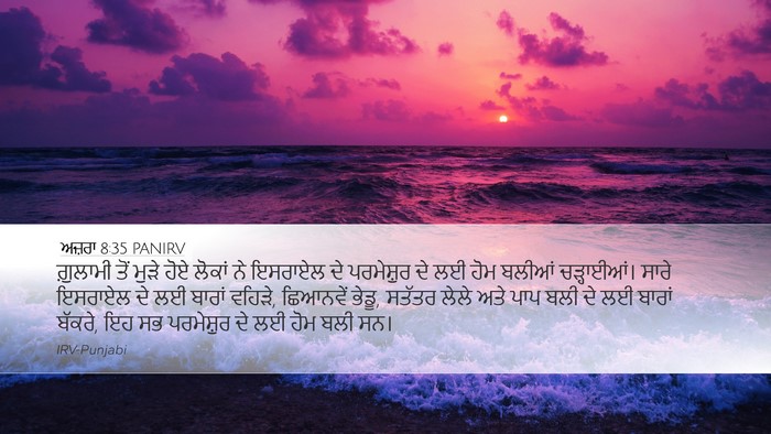 ਅਜ਼ਰਾ 8:35 PANIRV Bible Verse Image