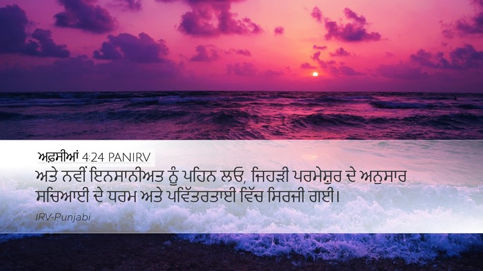 ਅਫ਼ਸੀਆਂ 4:24 PANIRV Bible Verse Image