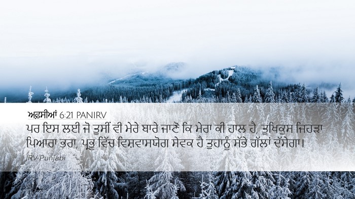 ਅਫ਼ਸੀਆਂ 6:21 PANIRV Bible Verse Image