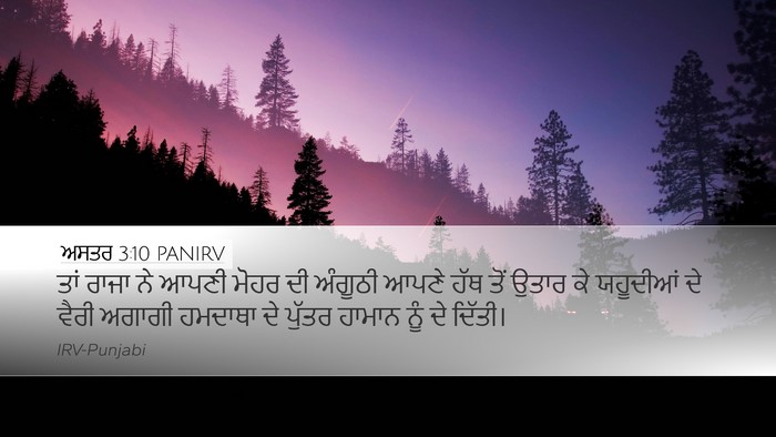 ਅਸਤਰ 3:10 PANIRV Bible Verse Image