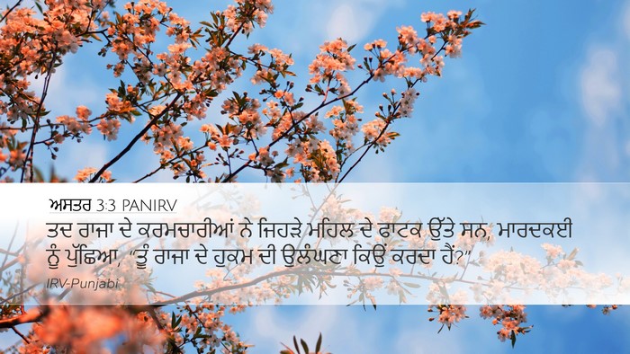 ਅਸਤਰ 3:3 PANIRV Desktop Wallpaper - ਤਦ ਰਾਜਾ ਦੇ - Desktop Bible Verse Wallpaper