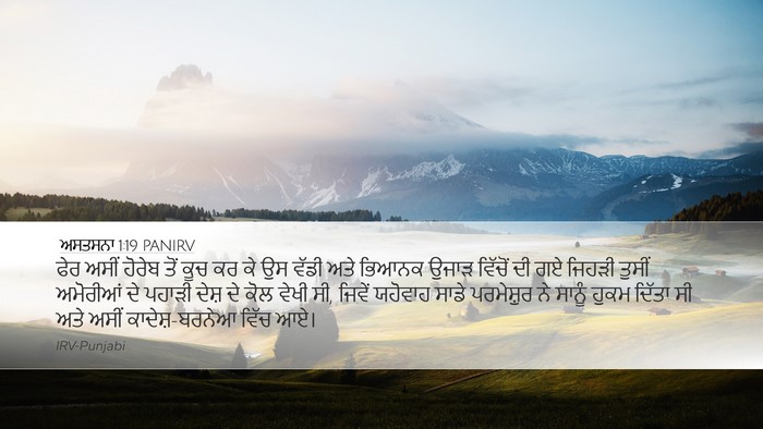 ਅਸਤਸਨਾ 1:19 PANIRV Bible Verse Image