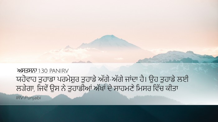 ਅਸਤਸਨਾ 1:30 PANIRV Bible Verse Image