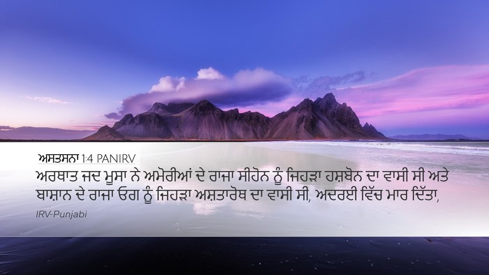 ਅਸਤਸਨਾ 1:4 PANIRV Bible Verse Image