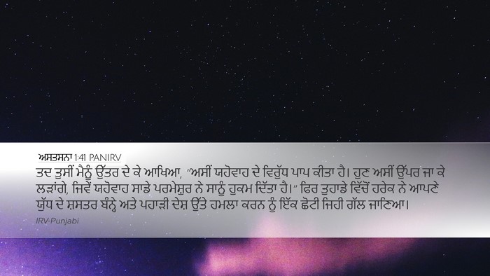 ਅਸਤਸਨਾ 1:41 PANIRV Bible Verse Image