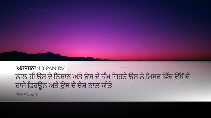 ਅਸਤਸਨਾ 11:3 PANIRV Desktop Wallpaper - ਨਾਲ ਹੀ ਉਸ ਦੇ ਨਿਸ਼ਾਨ - Desktop Bible Verse Wallpaper