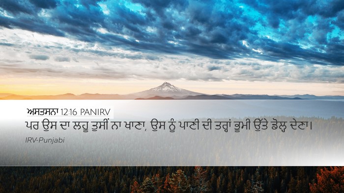 ਅਸਤਸਨਾ 12:16 PANIRV Bible Verse Image