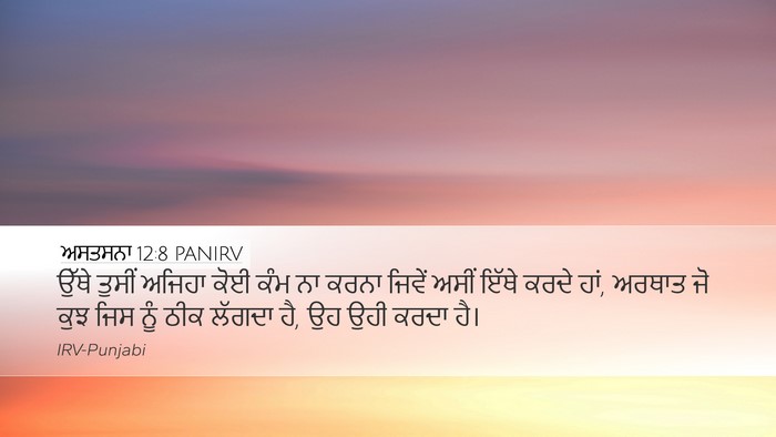 ਅਸਤਸਨਾ 12:8 PANIRV Bible Verse Image