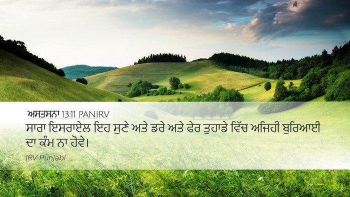 ਅਸਤਸਨਾ 13:11 PANIRV Bible Verse Image
