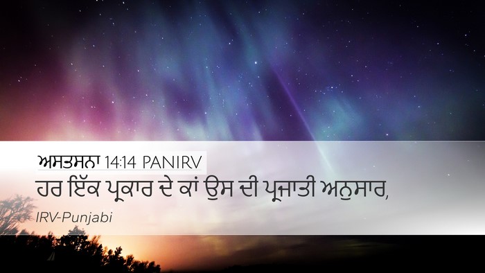 ਅਸਤਸਨਾ 14:14 PANIRV Desktop Wallpaper - ਹਰ ਇੱਕ ਪ੍ਰਕਾਰ ਦੇ - Desktop Bible Verse Wallpaper