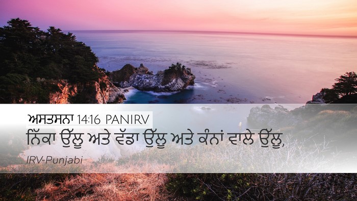 ਅਸਤਸਨਾ 14:16 PANIRV Desktop Wallpaper - ਨਿੱਕਾ ਉੱਲੂ ਅਤੇ - Desktop Bible Verse Wallpaper