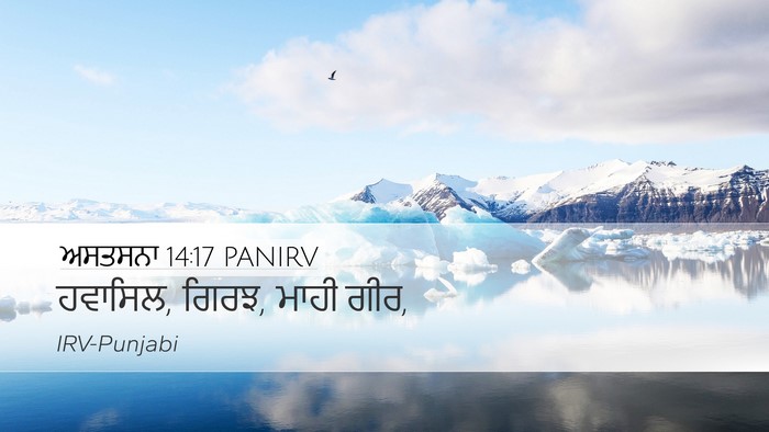 ਅਸਤਸਨਾ 14:17 PANIRV Desktop Wallpaper - ਹਵਾਸਿਲ, ਗਿਰਝ, ਮਾਹੀ - Desktop Bible Verse Wallpaper