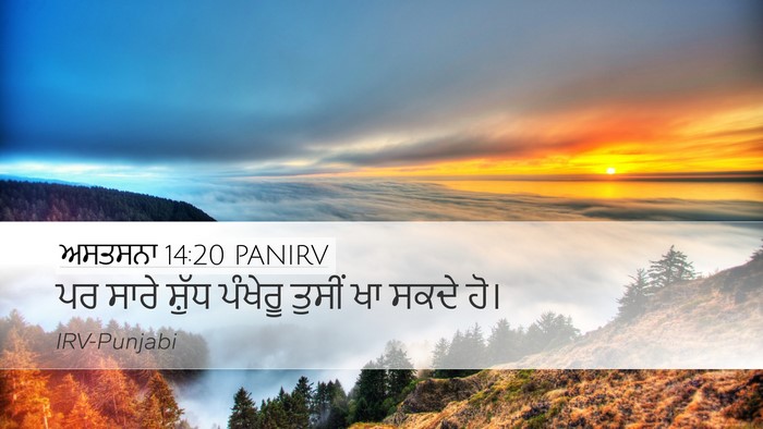 ਅਸਤਸਨਾ 14:20 PANIRV Desktop Wallpaper - ਪਰ ਸਾਰੇ ਸ਼ੁੱਧ - Desktop Bible Verse Wallpaper