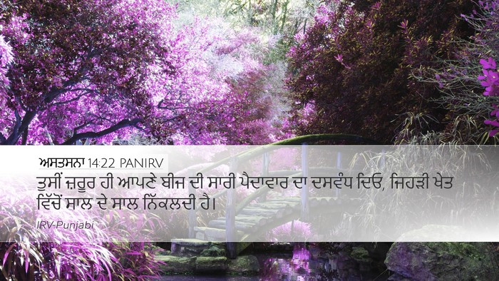 ਅਸਤਸਨਾ 14:22 PANIRV Bible Verse Image