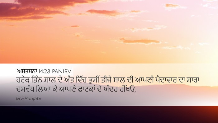 ਅਸਤਸਨਾ 14:28 PANIRV Bible Verse Image