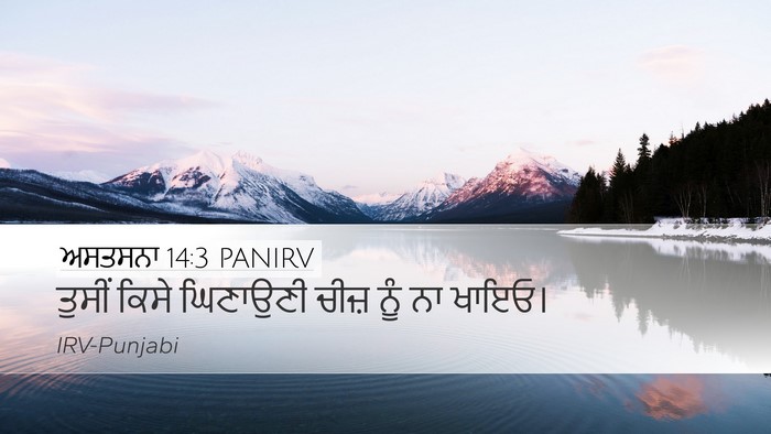ਅਸਤਸਨਾ 14:3 PANIRV Bible Verse Image