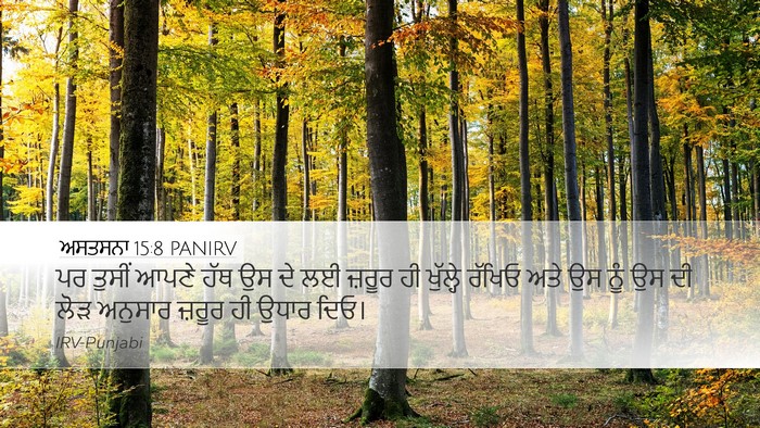 ਅਸਤਸਨਾ 15:8 PANIRV Bible Verse Image