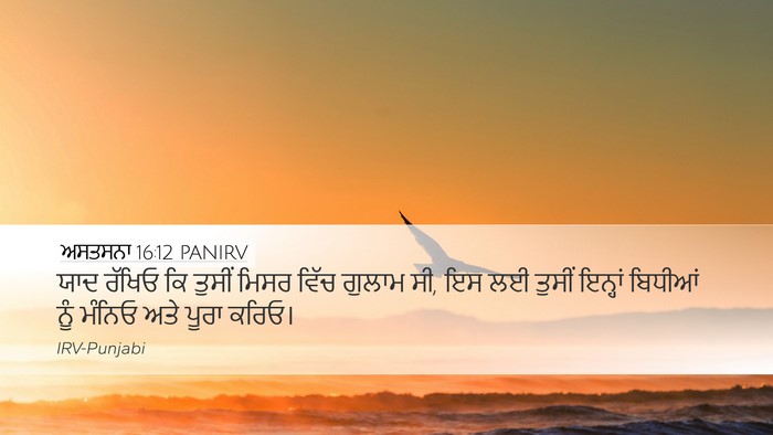 ਅਸਤਸਨਾ 16:12 PANIRV Bible Verse Image