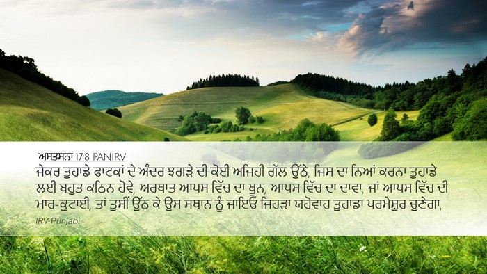ਅਸਤਸਨਾ 17:8 PANIRV Bible Verse Image
