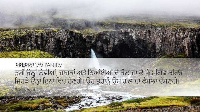ਅਸਤਸਨਾ 17:9 PANIRV Bible Verse Image