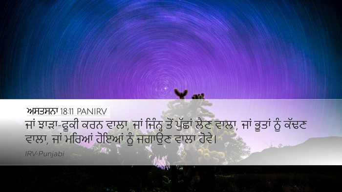 ਅਸਤਸਨਾ 18:11 PANIRV Bible Verse Image