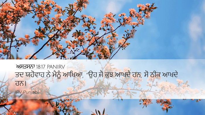 ਅਸਤਸਨਾ 18:17 PANIRV Bible Verse Image