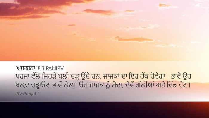 ਅਸਤਸਨਾ 18:3 PANIRV Bible Verse Image