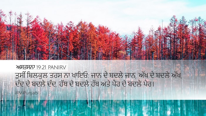 ਅਸਤਸਨਾ 19:21 PANIRV Bible Verse Image