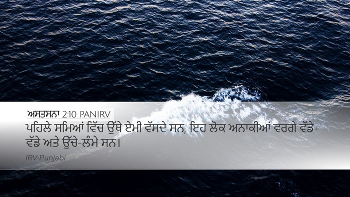 ਅਸਤਸਨਾ 2:10 PANIRV Bible Verse Image
