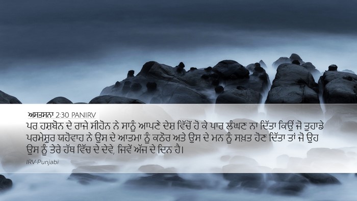 ਅਸਤਸਨਾ 2:30 PANIRV Bible Verse Image