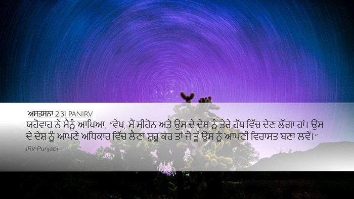 ਅਸਤਸਨਾ 2:31 PANIRV Bible Verse Image
