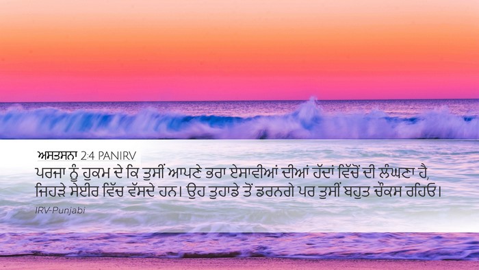 ਅਸਤਸਨਾ 2:4 PANIRV Bible Verse Image