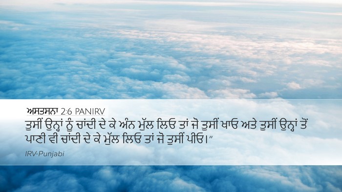 ਅਸਤਸਨਾ 2:6 PANIRV Bible Verse Image