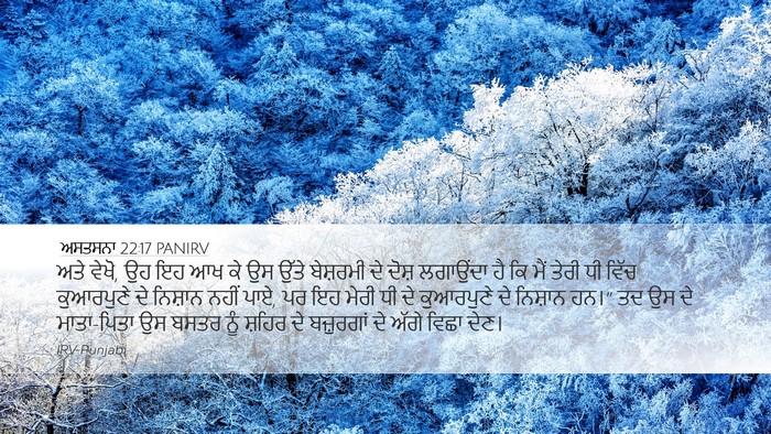 ਅਸਤਸਨਾ 22:17 PANIRV Desktop Wallpaper - ਅਤੇ ਵੇਖੋ, ਉਹ ਇਹ ਆਖ - Desktop Bible Verse Wallpaper