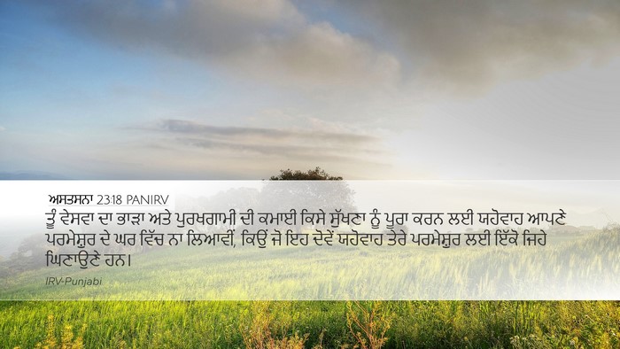 ਅਸਤਸਨਾ 23:18 PANIRV Bible Verse Image