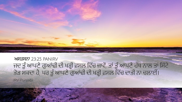 ਅਸਤਸਨਾ 23:25 PANIRV Bible Verse Image