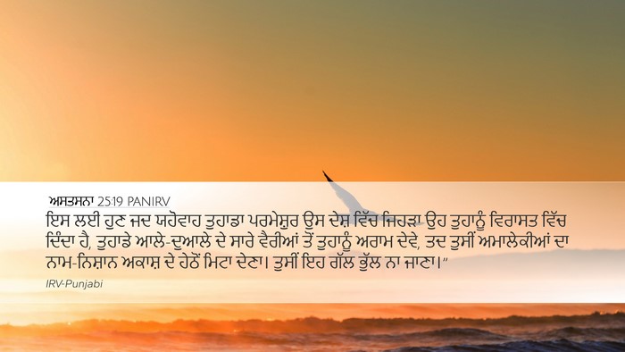 ਅਸਤਸਨਾ 25:19 PANIRV Bible Verse Image