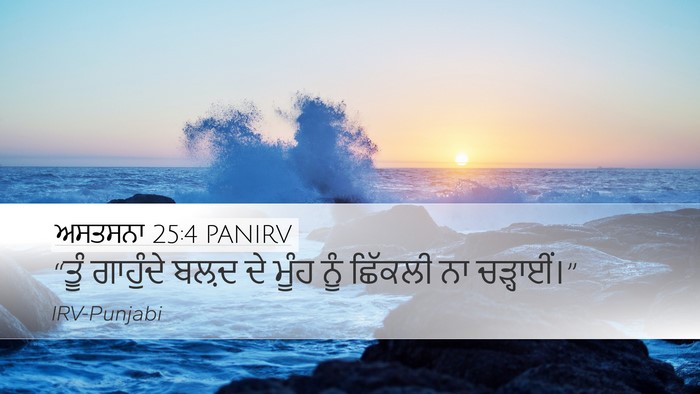 ਅਸਤਸਨਾ 25:4 PANIRV Bible Verse Image