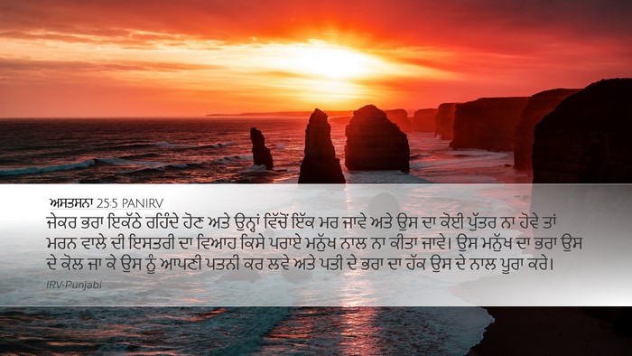 ਅਸਤਸਨਾ 25:5 PANIRV Bible Verse Image